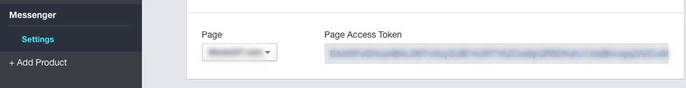 8.get-page-access-token.jpg